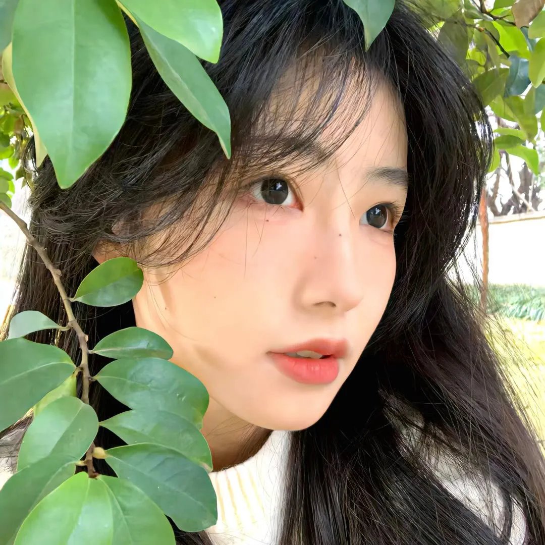 情圣粤语
